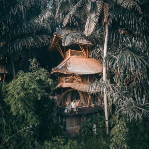 Discover serenity at a bamboo treehouse nestled amidst Bali's tropical jungle. Perfect for relaxation and nature lovers.